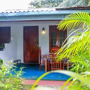  Homestay Sun Flower